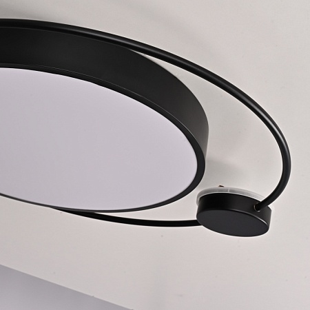 Потолочный Светильник Destin D50 Black Imperiumloft 193727-26 - фото