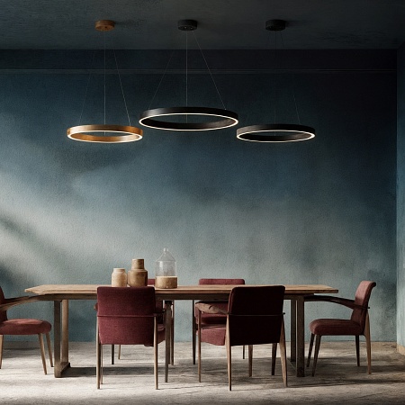 Потолочный подвесной светильник Denkirs DK6273-BK - фото