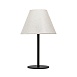 Декоративная настольная лампа Arte Lamp ALEA A5068LT-1BK - фото