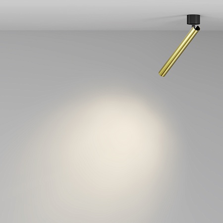 Потолочный светильник Technical Focus T C141CL-L300-6W3K-BBS - фото