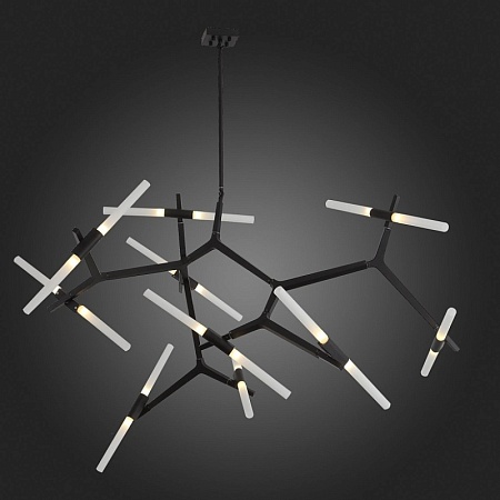 Люстра потолочная ST-Luce Черный/Белый G9 20*5W SL947.402.20 - фото