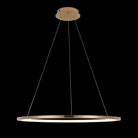 10014L Подвесной светильник LOFT IT Ring - фото