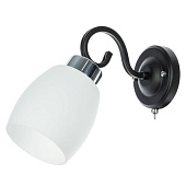  ARTE LAMP A4505AP-1BK