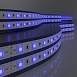 Светодиодная лента 24 В 14,4 Вт/м 60 Led/м 5050 IP65, синий, 5 м Лента светодиодная 24V 14,4W 60Led 5050 IP65 синий, 5м Elektrostandard - фото