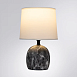Декоративная настольная лампа Arte Lamp TITAWIN A5022LT-1GY - фото