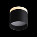 Светильник потолочный Черный LED 1*9W 3000K 702Lm Ra>80 120° IP20 D79xH75 170-240V ST102.402.09 - фото