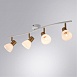 Спот Arte Lamp FALENA A3117PL-4WH - фото
