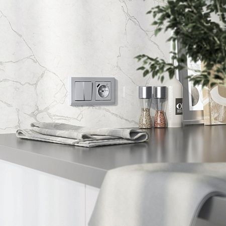 Выключатель двухклавишный проходной (серебряный матовый) W1122065 - фото