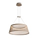 Подвесной светильник Freya FR5535PL-L14B - фото