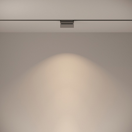 Трековый светильник Technical Basis Rot TR013-2-10W4K-B - фото