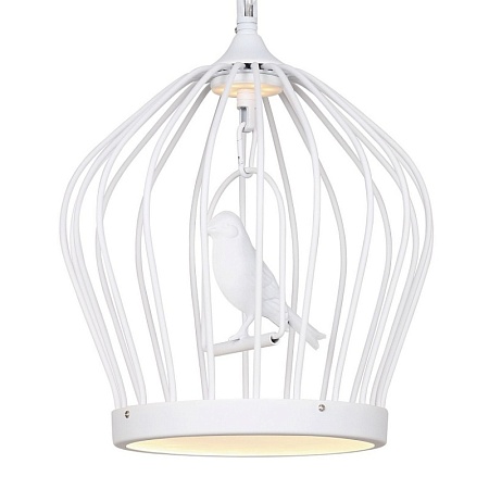 Подвесная люстра Favourite 1931-2P - фото