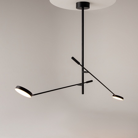 Потолочный светильник Maytoni Fad MOD070CL-L15B3K1 - фото