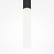Подвесной светильник Maytoni Pro Shade MOD157PL-L6BK - фото