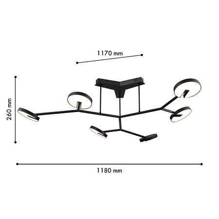 Потолочная люстра Favourite 4401-6C - фото