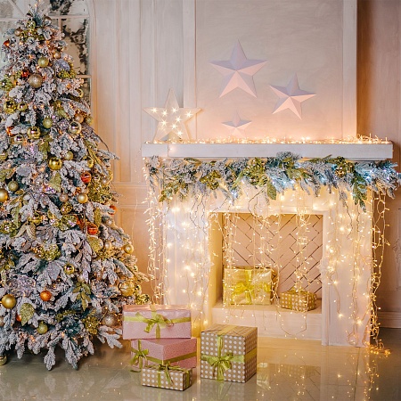 Гирлянда Eurosvet 100-001 белый - фото