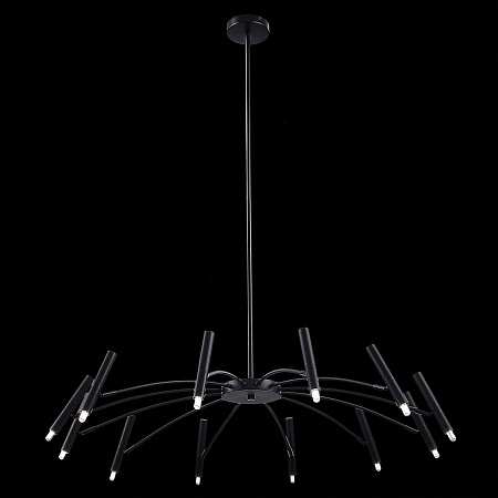 Светильник потолочный ST-Luce Черный/Черный G9 12*5W 4000K SL1214.402.12 - фото