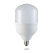 Лампа светодиодная Feron LB-65 E27 25W 175-265V 6400K - фото