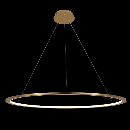 10014XL Подвесной светильник LOFT IT Ring - фото