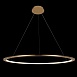 10014XL Подвесной светильник LOFT IT Ring - фото