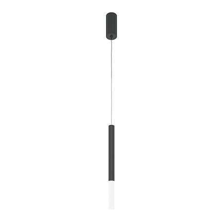 Подвесной светильник Maytoni Pro Shade MOD157PL-L6BK - фото