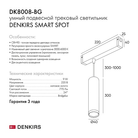 Светильник на шине Denkirs SMART SPOT DK8008-BG - фото