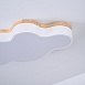 Потолочный Светильник Cloud Eco D50 White Imperiumloft 189500-26 - фото