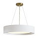 Подвесной светильник Freya COZY FR6170PL-L52BS - фото