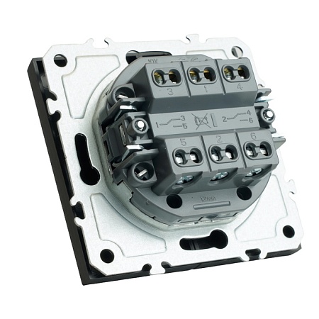 Переключатель 2-клавишный (механизм), STEKKER, 250В, 10А, серия Эмили, RSW10-5107-05, черный уголь, soft touch - фото