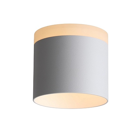 Светильник потолочный Белый LED 1*12W 3000K 936Lm Ra>80 120° IP20 D100xH90 170-240V ST102.502.12 - фото