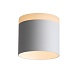 Светильник потолочный Белый LED 1*12W 3000K 936Lm Ra>80 120° IP20 D100xH90 170-240V ST102.502.12 - фото