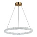 Люстра подвесная ST-Luce Золотистый/Золотистый LED 1*35W 3000 - 6500K SL6110.213.01 - фото