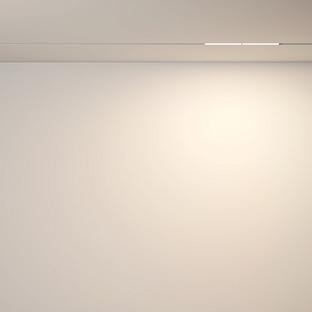 Трековый светильник Technical Parete TR106-2-12W3K-W - фото