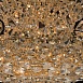 Люстра  лаура MW-Light  345011226 - фото
