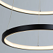Подвесная люстра Arte Lamp FRODO A2197SP-2BK - фото