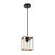 Подвесной светильник Arte Lamp DUBLIN A7025SP-1BK - фото