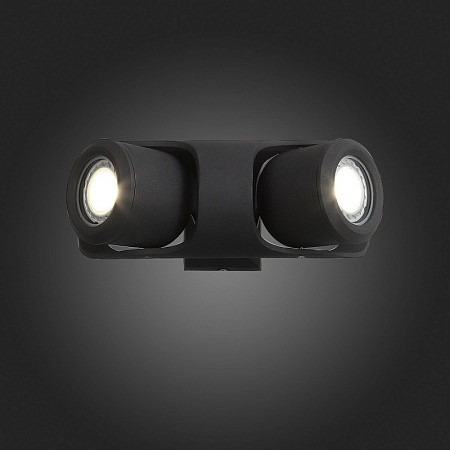 Светильник уличный настенный ST-Luce Черный/Черный, Прозрачный G5,3 2*3W SL093.401.02 - фото