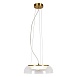 Подвесной светильник Lussole DEARBORN LSP-7062 - фото