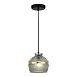 Светильник подвесной ST-Luce Черный/Дымчатый E27 1*40W SL1661.413.01 - фото