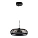 Светильник подвесной ST-Luce Черный/Черный, Дымчатый LED 1*42W 3000K SL6014.403.01 - фото