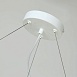Подвесная люстра Favourite 1705-6P - фото
