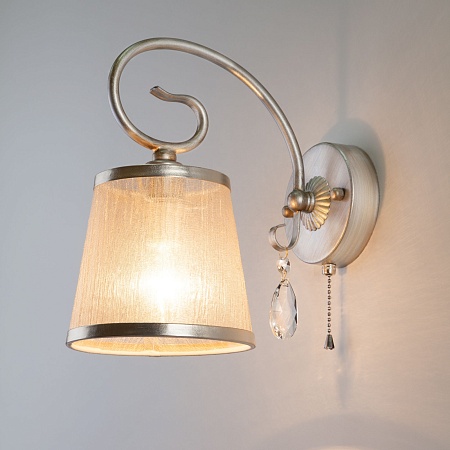 Настенный светильник Eurosvet 60065/1 серебро - фото