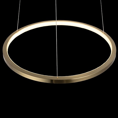 10014S Подвесной светильник LOFT IT Ring - фото