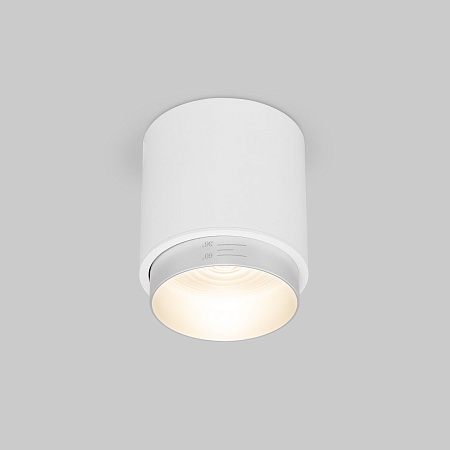 Потолочный светодиодный светильник Cors 25032/LED 10W 4200K белый/серебро Elektrostandard - фото