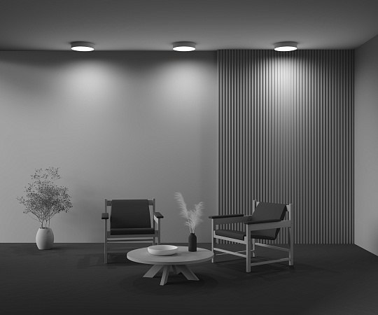 Потолочный светильник Technical Zon C032CL-36W4K-RD-MG - фото