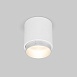 Потолочный светодиодный светильник Cors 25032/LED 10W 4200K белый/серебро Elektrostandard - фото