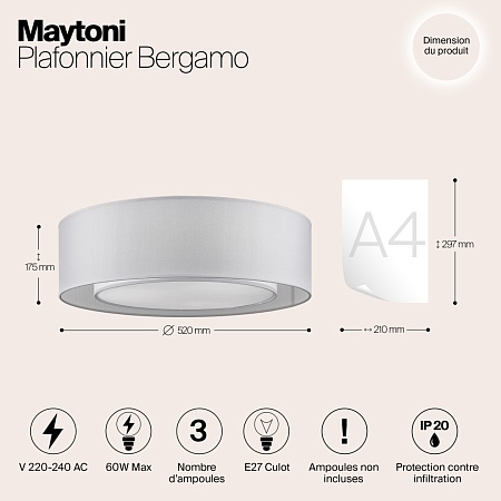 Потолочный светильник Maytoni Bergamo MOD617CL-04GR - фото