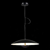 Светильник подвесной ST-Luce Черный/Черный, Белый LED 1*35W 3000K SL6502.403.01
