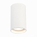 Светильник потолочный Белый LED 1*20W 4000K 1 600Lm Ra>90 60° IP44 D95xH150 220-265V ST157.542.20 - фото