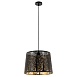 Подвесной светильник Arte Lamp CELESTA A2769SP-1BK - фото