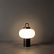 Настольный светильник Freya Take FR6175TL-L10B - фото